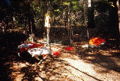 Travel; Camping